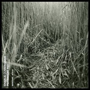 大梅婶读全文原文
