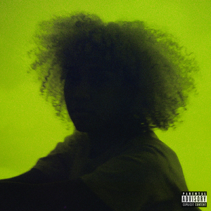 大梅婶读全文原文
